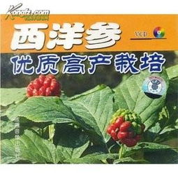 浙江西洋參種植技術(shù)與黑參產(chǎn)品開發(fā)