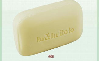 出口韓國日用品市場概況 報價趨勢與優(yōu)質(zhì)廠家推薦